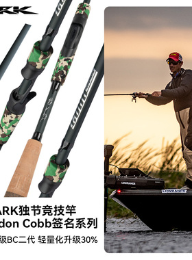ARK路亚竿官方正品BC二代超快调虫杆黑坑鲈鱼钓竿独节路亚竿裸杆
