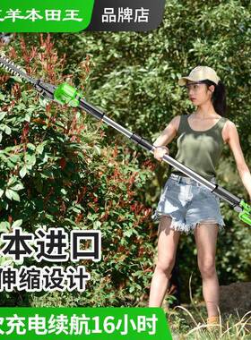 调进口电长杆高枝速绿枝篱机弧DTQ形动园林绿化苗木修剪机修机伸