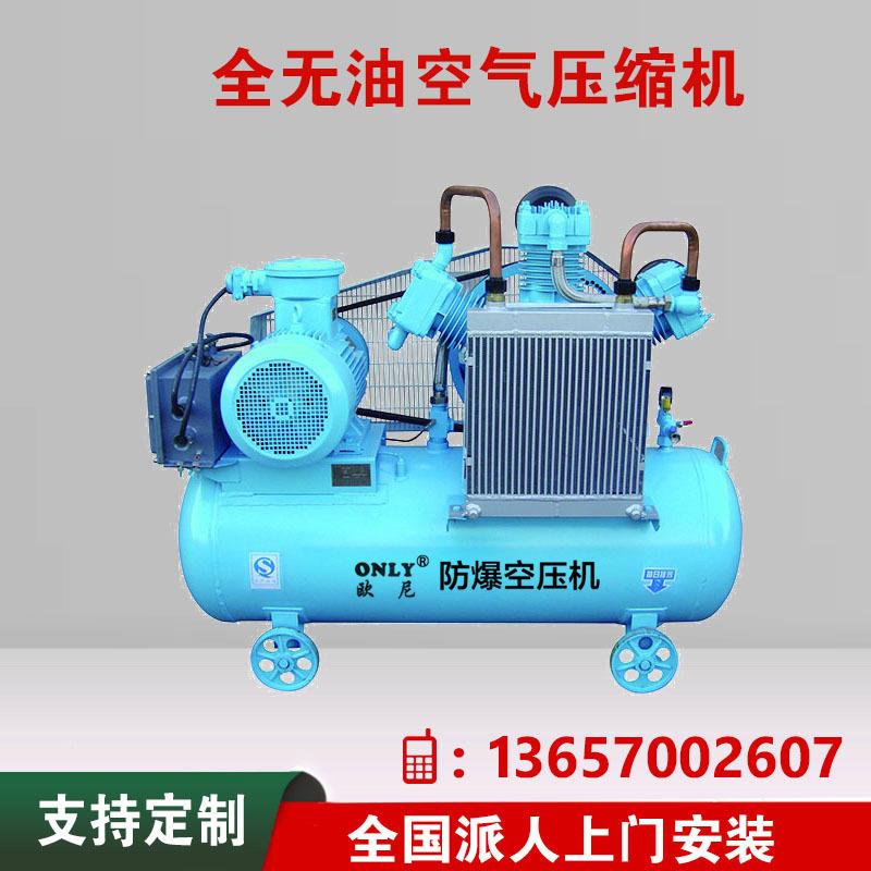 活塞式无油空压全无油润机滑压机WW-0.9/8储气罐WW-0.9/8小空型带