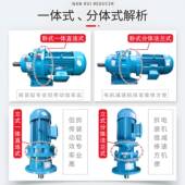 42减891.1K 速机BWED21 W行星摆线减速器 BWED21 VDS289 0.75KW