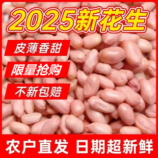 2025大颗粒粉皮花生米新货50g农家不带壳白沙白皮花生原味花生米