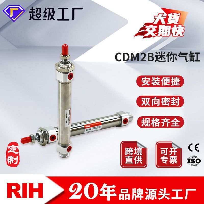 RIH瑞亨CDM2B迷你气缸 SMC型不锈钢小型微型汽缸机械气动