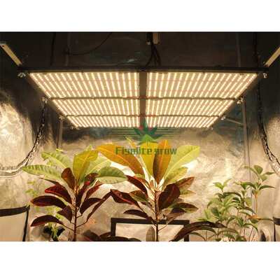 600W LM301H + 660nm uv ir Quantum LED Board 量子板植物灯