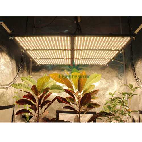 600W LM301H + 660nm uv ir Quantum LED Board 量子板植物灯