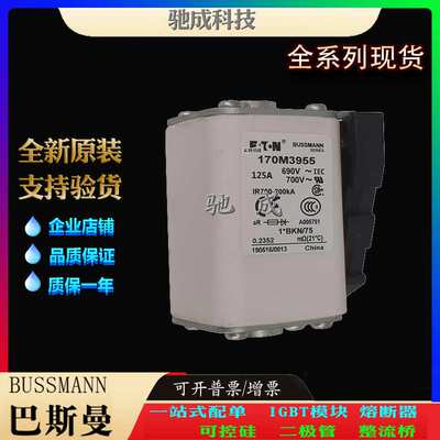 巴斯曼170M3955 170M3956 170M3957 厂家直供 价优 方体熔断器