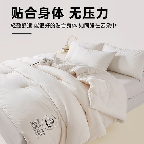 新疆棉花被子冬被棉被全棉冬季加厚保暖纯棉花被芯单人春秋被棉絮