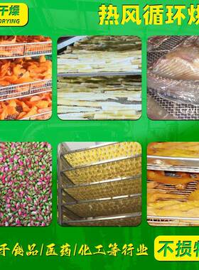 锈钢热风WJO循环不烘箱化学烘颗粒鸡精干箱籽菜芝麻热风循环烘箱