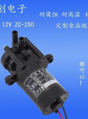 耐蚀12PCSv伏充电桩油循环泵垒微型热水泵化工泵自吸直流腐水泵德