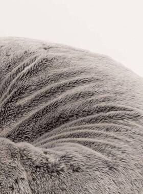 懒人沙发豆GRN袋人毛皮豆包造沙热销65FTFT7FT发