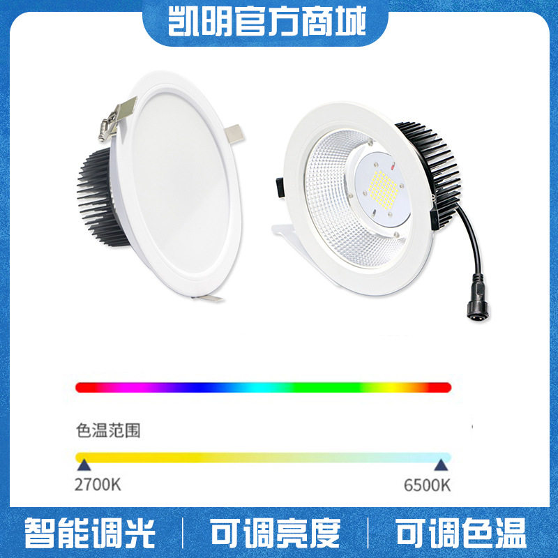 DMX512调光调色温LED筒灯