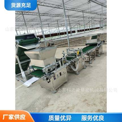 全自动播机FBU穴盘育苗种台式用穴盘育苗机蔬菜秧苗穴盘播种农机