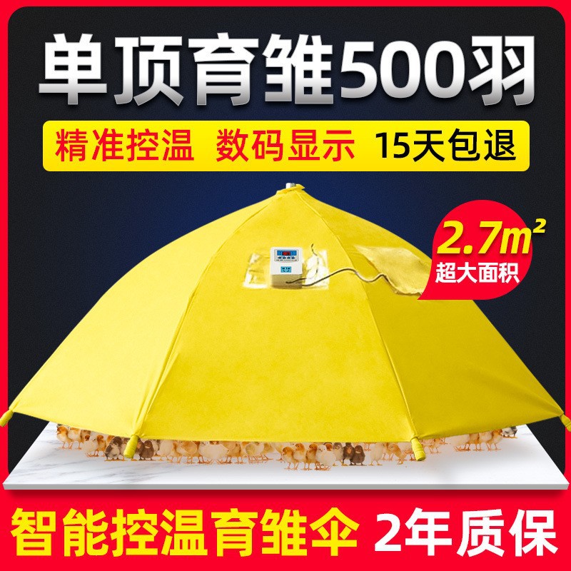 养鸡设备小鸡脱温自动控温伞