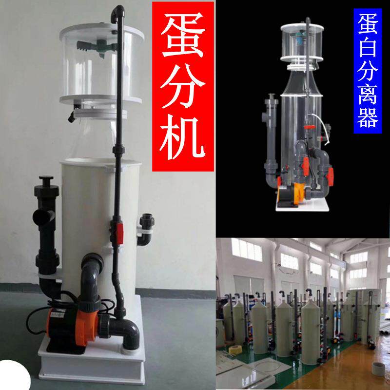 蛋分机青蟹梭子蟹淡海水大闸蟹澳龙室内立体养殖设备蛋白质分离器