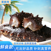 莱参湾即食海参独立包装 开袋即食9年刺参新鲜礼盒过节送礼批发价