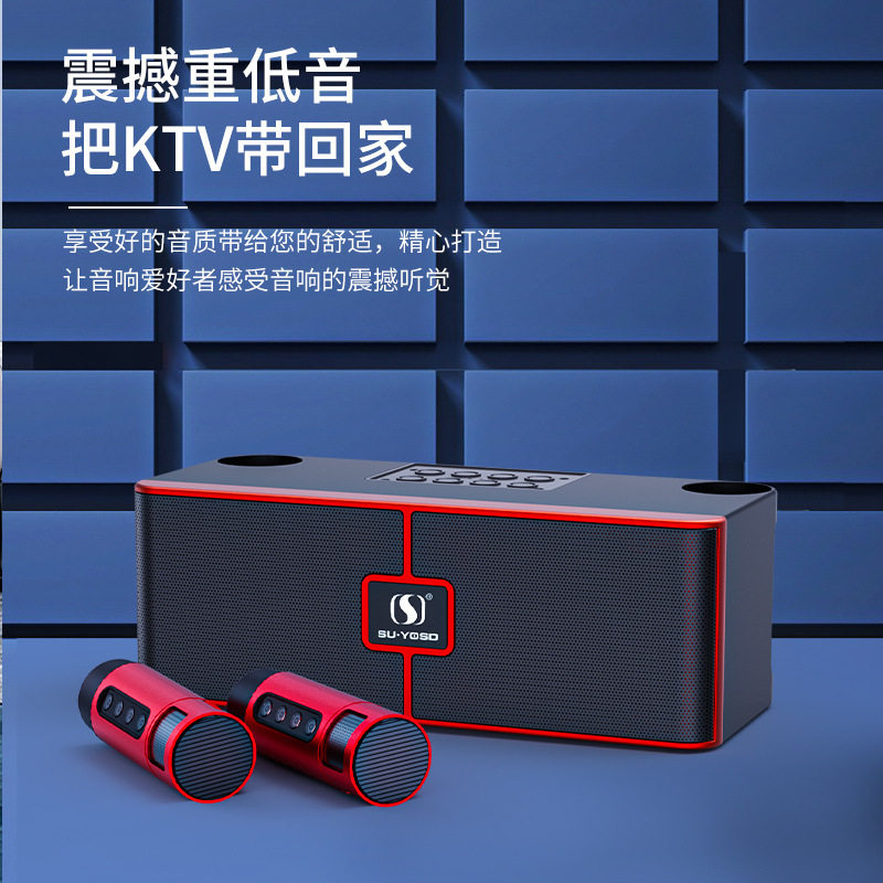 德国2026新款YF源头工厂室内K歌音响20W双喇叭双话筒音箱卡拉OK套