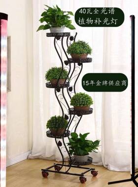 ?多植CAW物生补长光灯全光谱40瓦LED12肉G1上色三脚支架零浪费植