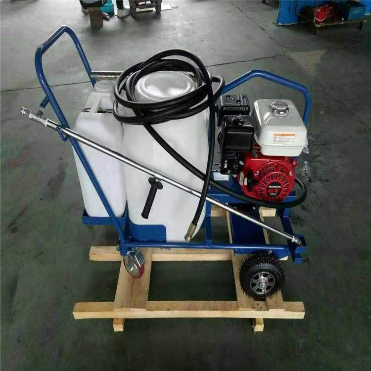 自高品质撒堵布机全动防乳化沥青洒布机小型沥青洒布AJS机撒布机,鲜花速递/花卉仿真/绿植园艺,其它园艺用品,淘宝优惠券,粉丝福利购,淘宝优惠卷