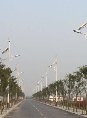 S10型路灯用微机风型力发电机景用离观网型小型风HNA力发电300W