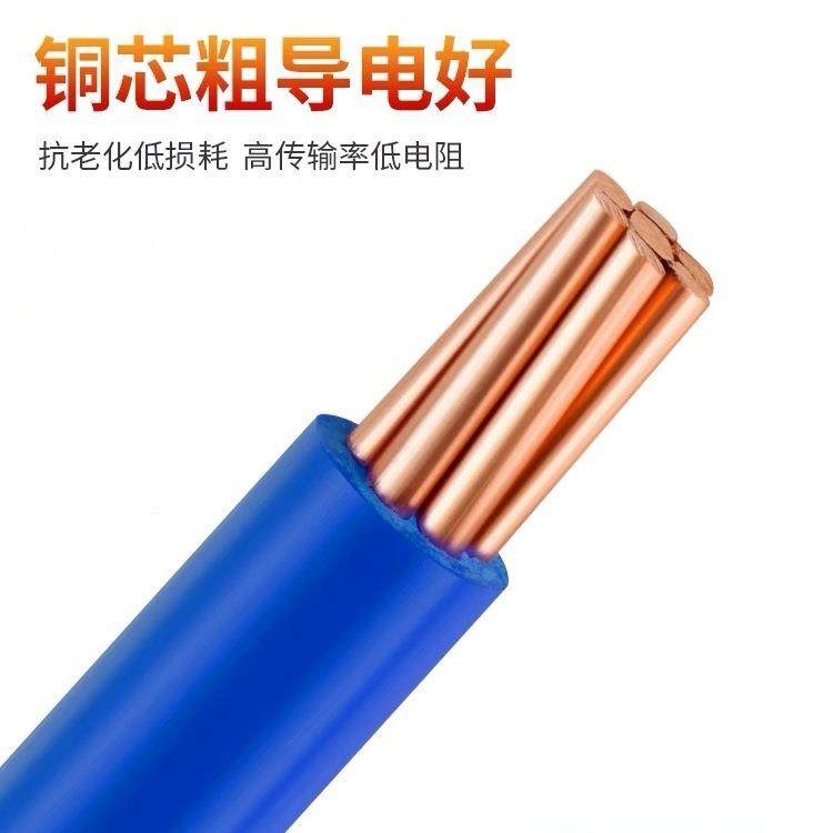 津909成Z电线RBV10/16平方-铜铜芯阻燃国标10平方进户单芯进户线