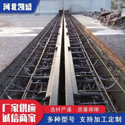 公平面型路C桥梁伸缩缝GQF-/E//Z/FRG0型缝40608缝变形缝装置