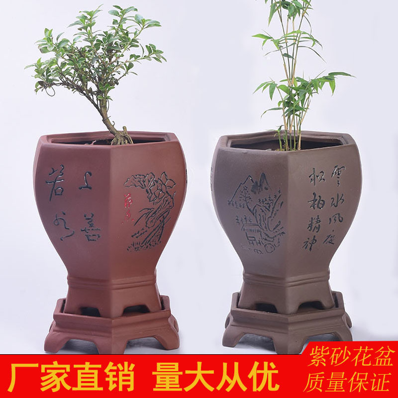 陶瓷紫砂君子兰花盆大号家居园艺多肉植物发财树盆景带托盘中式