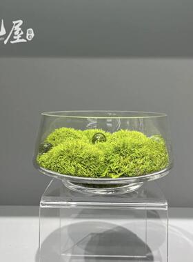 中式永新盆生苔藓景摆件餐洽谈桌茶几酒店桌YNK样板房桌面装饰花