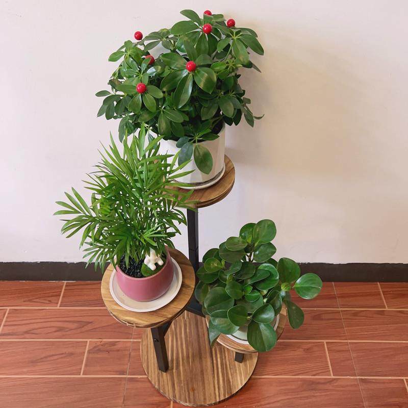 木圆形花架多层地式实花架室内客厅置物落架多子MDW肉阳台植物花,鲜花速递/花卉仿真/绿植园艺,其它园艺用品,淘宝优惠券,粉丝福利购,淘宝优惠卷