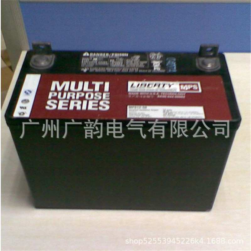 佛山大力神蓄电池C&D12-100ALBT 12v100ah蓄电池 化工设备电瓶