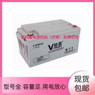 信源蓄电池 6-GFM-65 12V65AH UPS应急电源备用电池