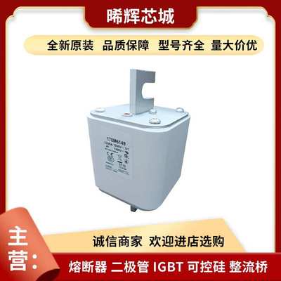 170M6149 170M6148 型号齐全直流快速熔断器 标准封装量大从优