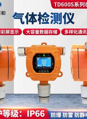TD600S-CH2O在线式甲醛检测报警仪防护等级IP66