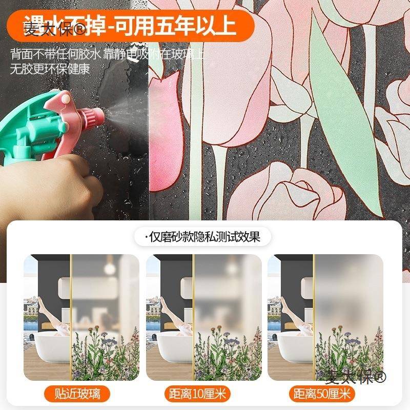 植物复古花户纹浴门玻璃贴纸厕所窗贴膜防窥透光不透明麦静麦太保