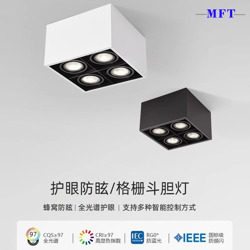 明装LED可调角度无主灯射灯