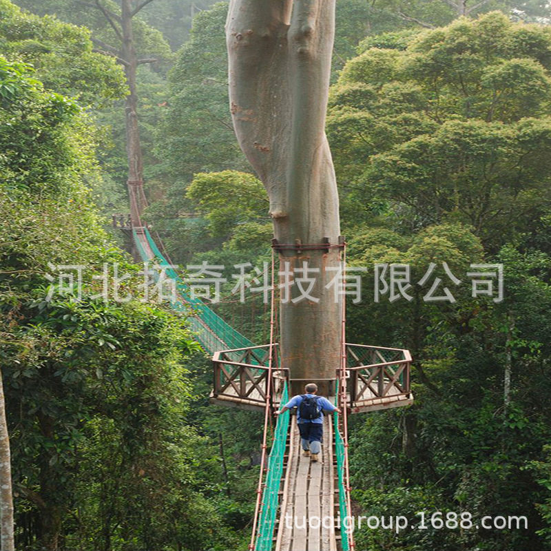树顶吊桥拓展设施树顶漫步空中走廊 户外文旅研学旅行景观木栈道