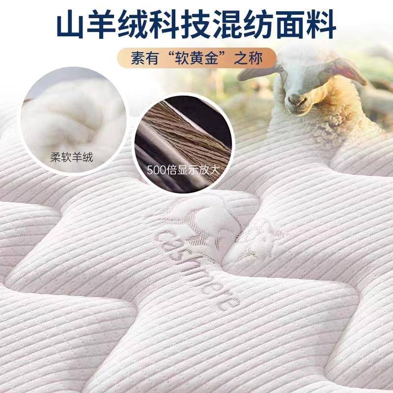 席0梦床思垫软硬两用2cm经济型家用胶海马弹簧床垫TZC租乳房