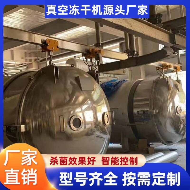 橙子 真空冻干 全自动西瓜片 冻干设备 木瓜 真空冻干机