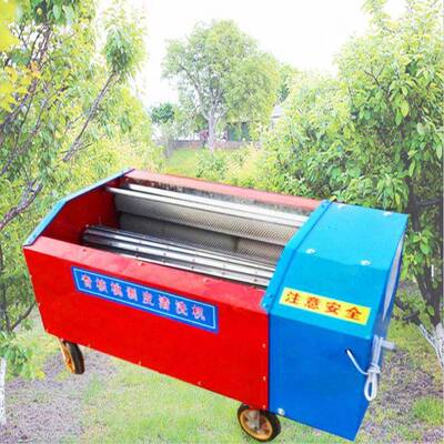 香菱核桃去青皮机电动3500kg/h产量核桃扒皮机脱壳机四川凉山