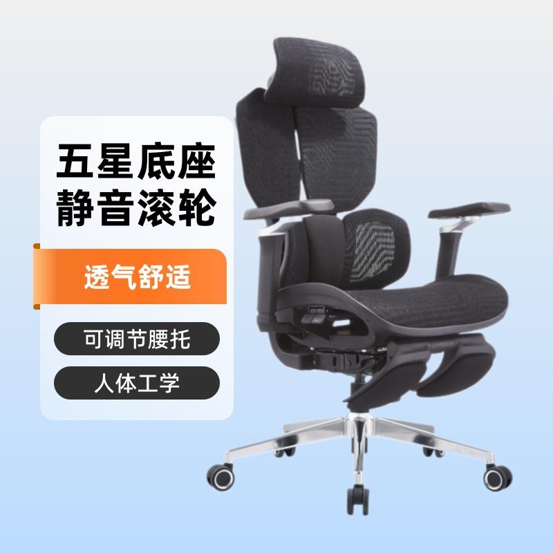 2025新款电竞椅人体学椅子书房座椅家用办公老板椅可撑腰电脑椅
