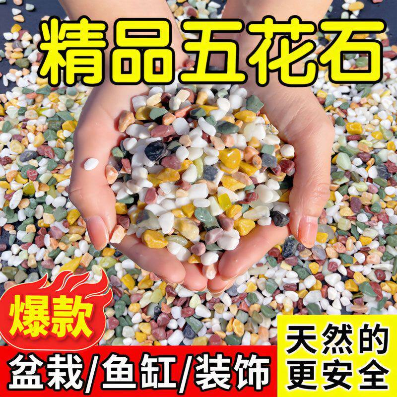 铺面肉铺彩石装饰植物石头铺底鱼缸花石培植头子五彩五彩石底雨花
