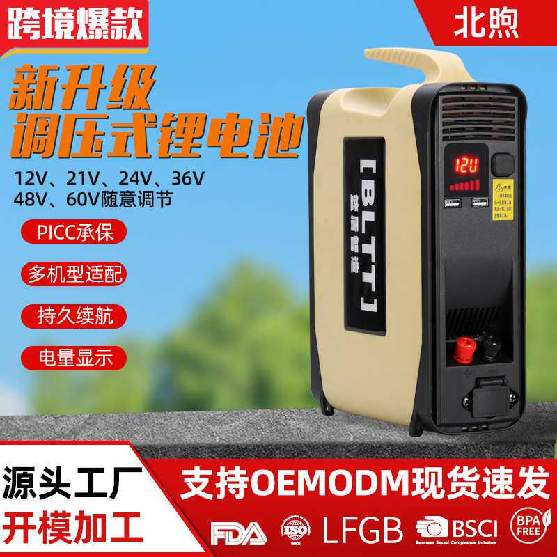 通用12V21V24V36V48V60V大容量背负式锂电池锂电背包电池背包电瓶