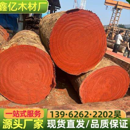 刚果红花梨原木 红花梨方料 花梨木木料 红花梨板材 花梨家具木料