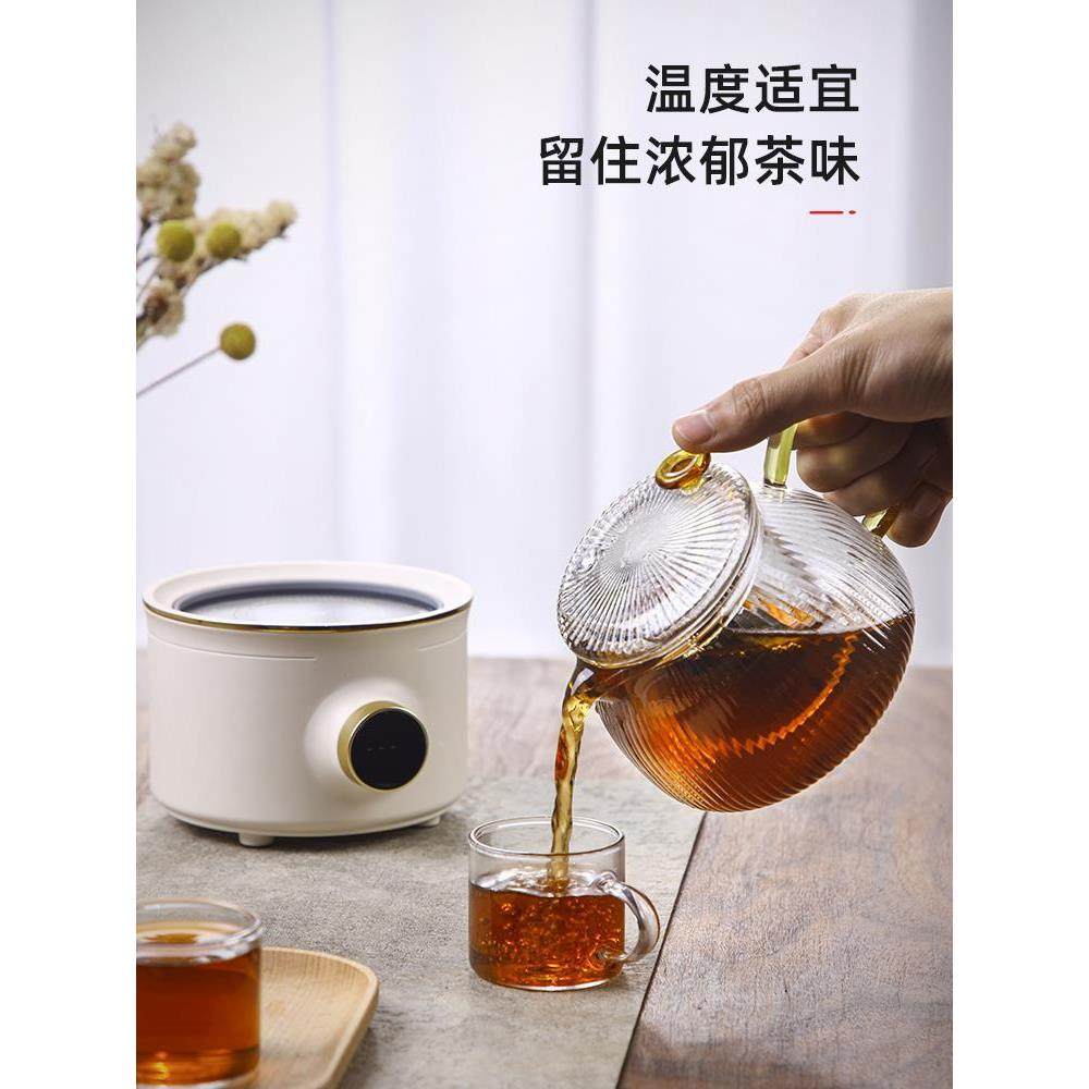 爱洛琳耐热玻电璃迷你FK856611养生壶陶炉套装办公室人一多功能煮