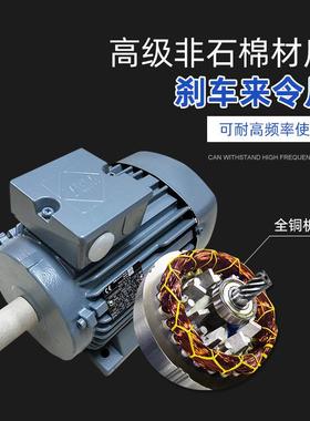 德国原装进口电机VEM电机K21R系列三相异步交流电动机