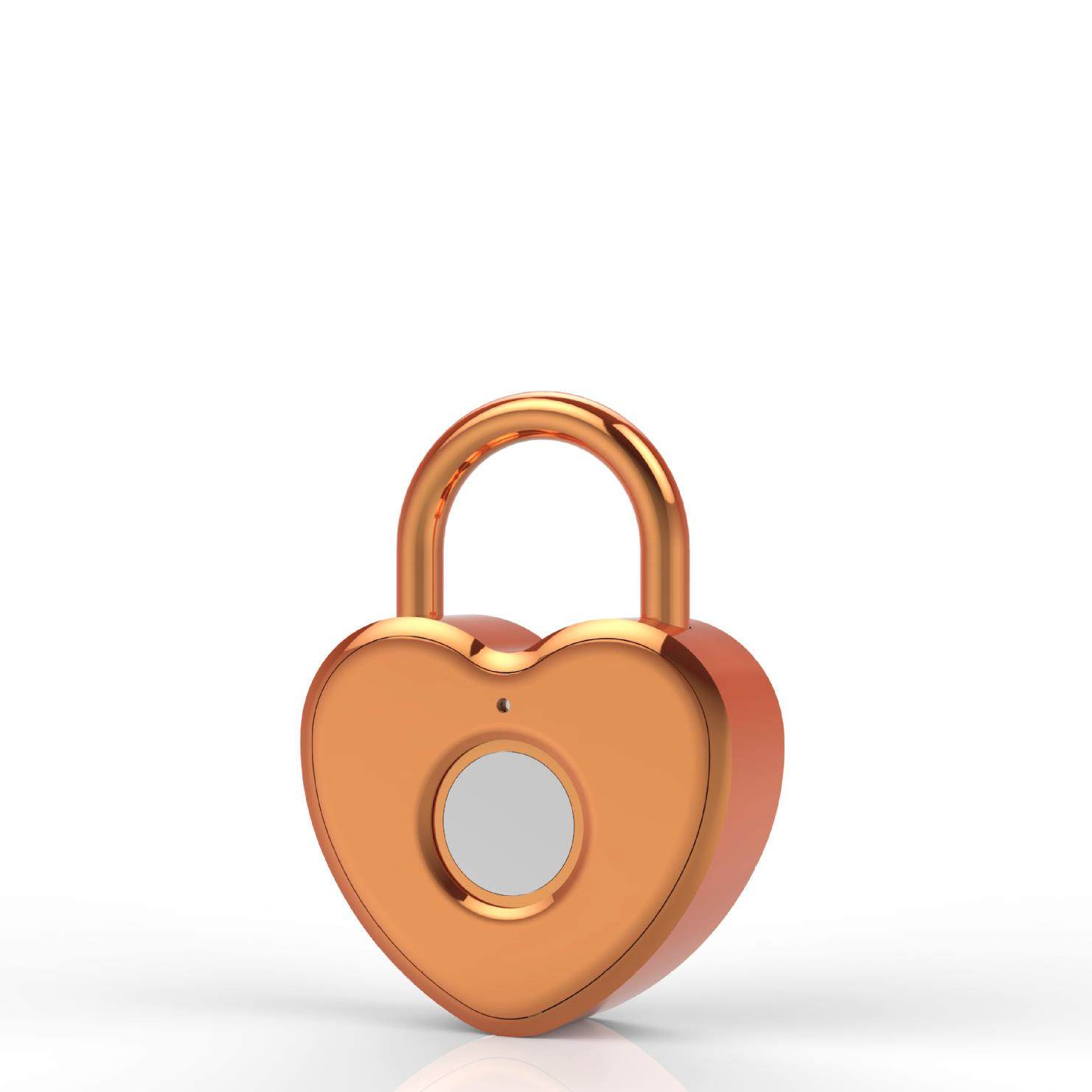 指纹挂锁密码锁抽屉柜门锁健身房储物柜更衣柜锁智能通通锁防锈锁