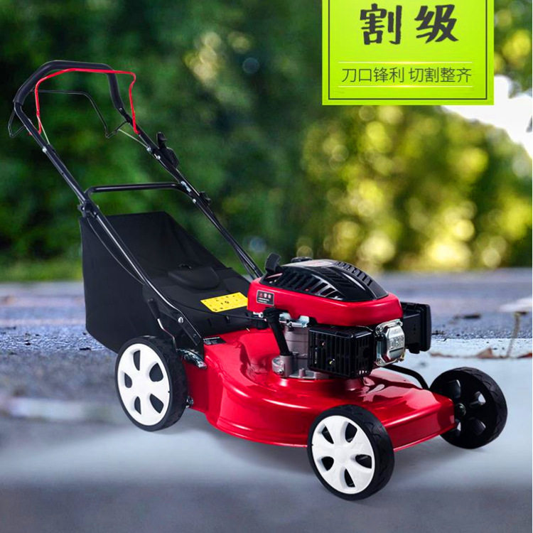 手推20寸汽油机庭院除草机