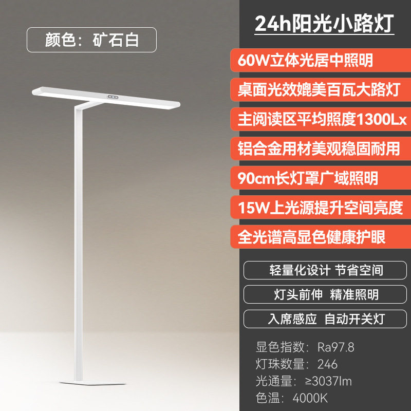 LDE台灯护眼大路灯儿童全光谱学习台灯钢琴书桌立式落地灯 D1-60W