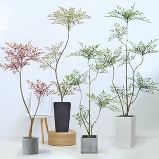 家居厅客大型植物装饰尾假散葵仿真花楹盆蓝花楹、栽南蓝天竹仿真