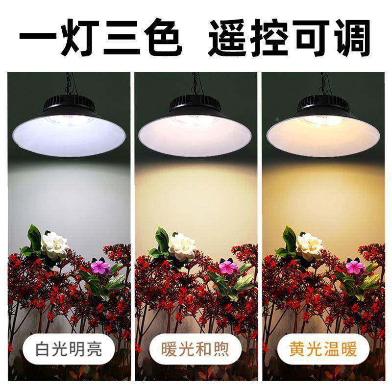 太阳能台灯外户外吊灯庭院灯家超亮室防水花园阳门口1用照明灯壁