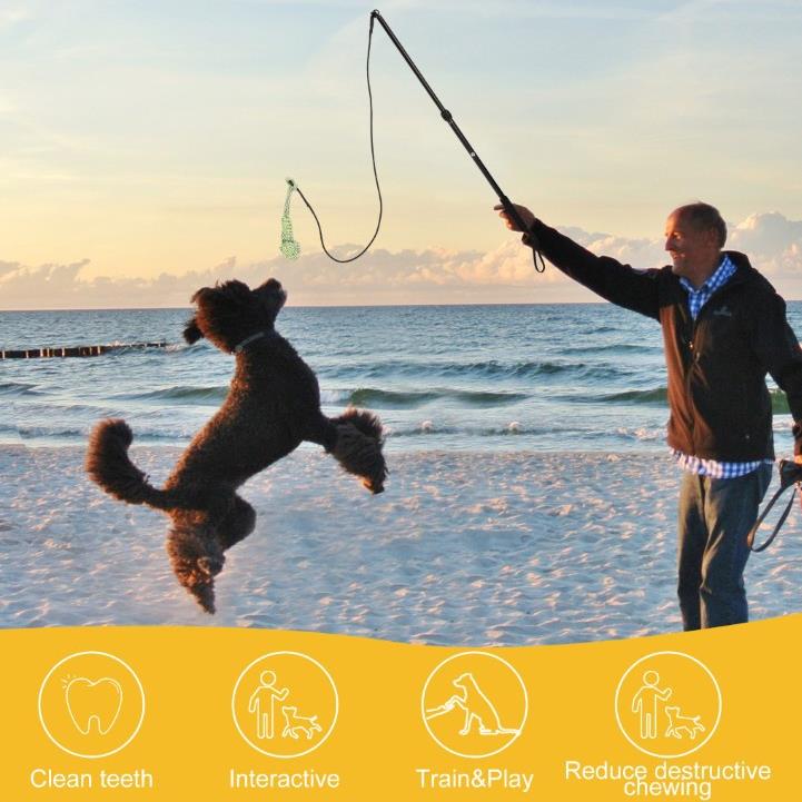 伸缩9183逗棒狗狗玩具挑逗杆狗玩具狗狗互动玩具逗猫宠逗物玩具