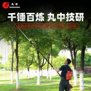 WZK900H修丸中WANZH空ONG锂电高TCH枝锯伸缩加长杆高剪树枝锯链电